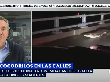 Roberto Brasero explica las espectaculares imágenes de cocodrilos de 3 metros y serpientes por las calles de Australia Roberto Brasero explica las espectaculares imágenes de cocodrilos de 3 metros y serpientes por las calles de Australia