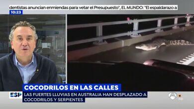 Roberto Brasero explica las espectaculares imágenes de cocodrilos de 3 metros y serpientes por las calles de Australia
