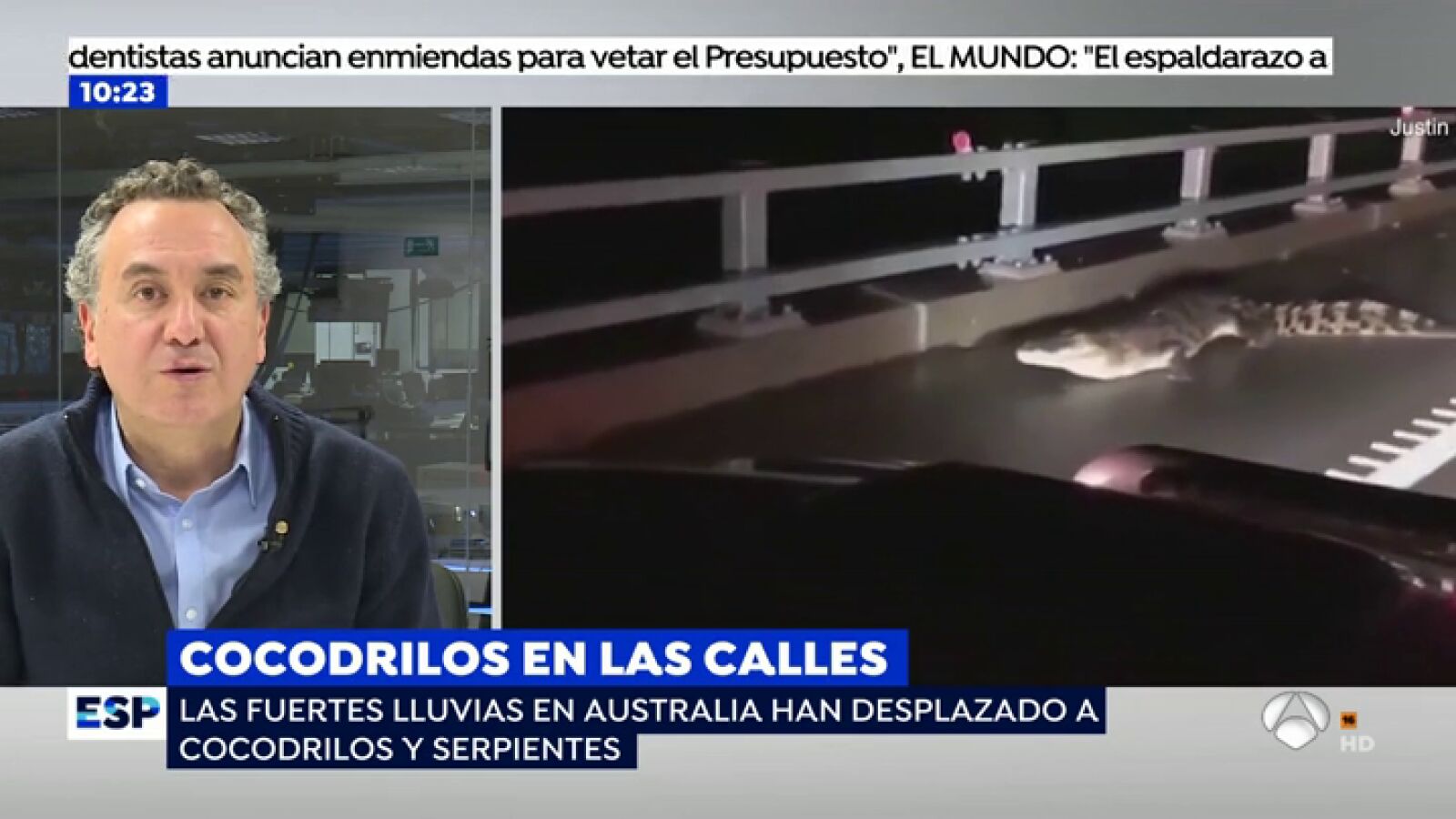 Roberto Brasero explica las espectaculares imágenes de cocodrilos de 3 metros y serpientes por las calles de Australia