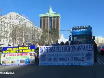 Trabajadores de circo se manifiestan en Madrid en contra de la decisión de Carmena de no autorizar los circos con animales Trabajadores de circo se manifiestan en Madrid en contra de la decisión de Carmena de no autorizar los circos con animales