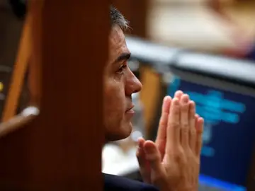 El presidente del Gobierno, Pedro Sánchez, en el Congreso El presidente del Gobierno, Pedro Sánchez, en el Congreso