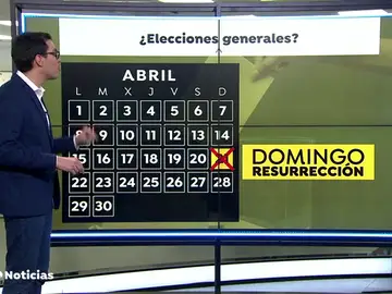 REEMPLAZO ELECCIONES REEMPLAZO ELECCIONES
