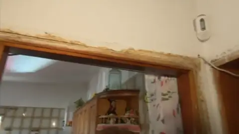 Tiene que cambiar sus muebles de madera por unos de plástico a causa de una plaga de termitas Tiene que cambiar sus muebles de madera por unos de plástico a causa de una plaga de termitas