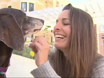 Dana Cervantes habla tras salvar a una perra de caza de la muerte: "Los usan como instrumentos y luego los abandonan" Dana Cervantes habla tras salvar a una perra de caza de la muerte: "Los usan como instrumentos y luego los abandonan"