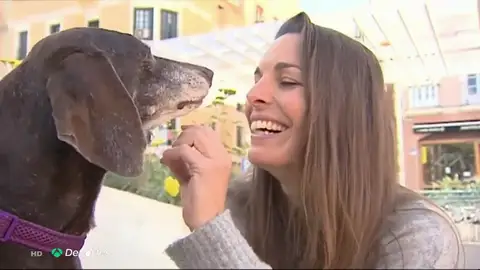 Dana Cervantes habla tras salvar a una perra de caza de la muerte: "Los usan como instrumentos y luego los abandonan" Dana Cervantes habla tras salvar a una perra de caza de la muerte: "Los usan como instrumentos y luego los abandonan"