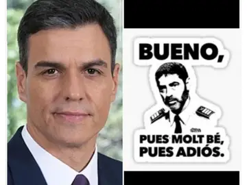 Los memes de la comparecencia de Pedro Sánchez Los memes de la comparecencia de Pedro Sánchez