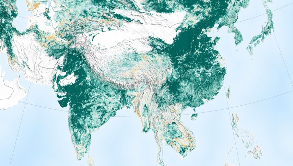 La Tierra es hoy más verde que hace 20 años