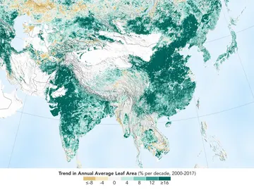 La Tierra es hoy más verde que hace 20 años La Tierra es hoy más verde que hace 20 años
