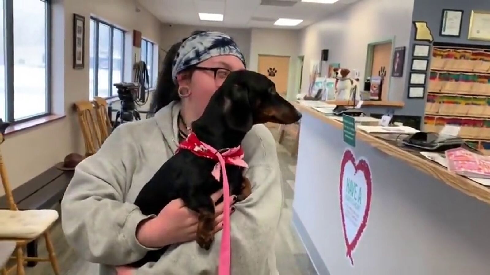 Encuentran en la basura a un perro amordazado con cinta americana