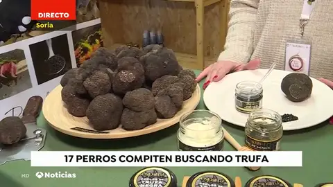 NUEVAtrufaok NUEVAtrufaok