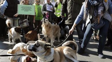 Alrededor de 500 personas se manifiestan en Barcelona en protesta por la falta de espacios para perros