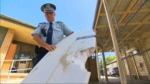 Un tiburón muerde en la cabeza a un surfista en Brasil: "Fui un imprudente" Un tiburón muerde en la cabeza a un surfista en Brasil: "Fui un imprudente"