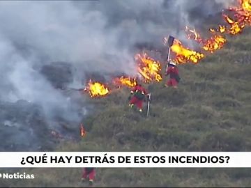 ¿Quién está y cuál es la intención de los que incendian nuestros bosques?