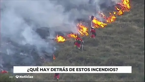 ¿Quién está y cuál es la intención de los que incendian nuestros bosques? ¿Quién está y cuál es la intención de los que incendian nuestros bosques?