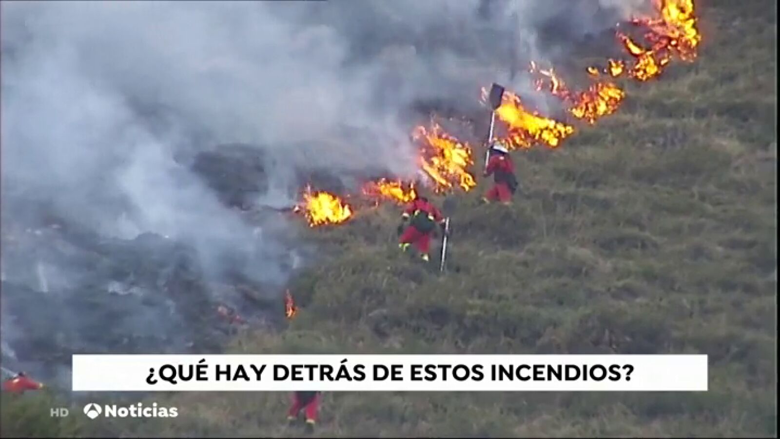 ¿Quién está detrás y cuál es la intención de los que incendian nuestros bosques?