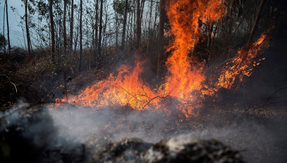 Medios aéreos se suman a la extinción del incendio de Ramales (Cantabria)
