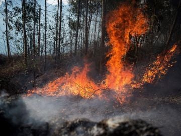 Medios aéreos se suman a la extinción del incendio de Ramales (Cantabria)