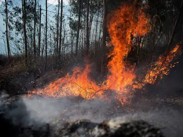 Medios aéreos se suman a la extinción del incendio de Ramales (Cantabria) Medios aéreos se suman a la extinción del incendio de Ramales (Cantabria)