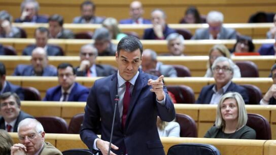 Pedro S&aacute;nchez en el Senado