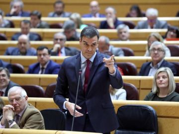 Pedro Sánchez en el Senado