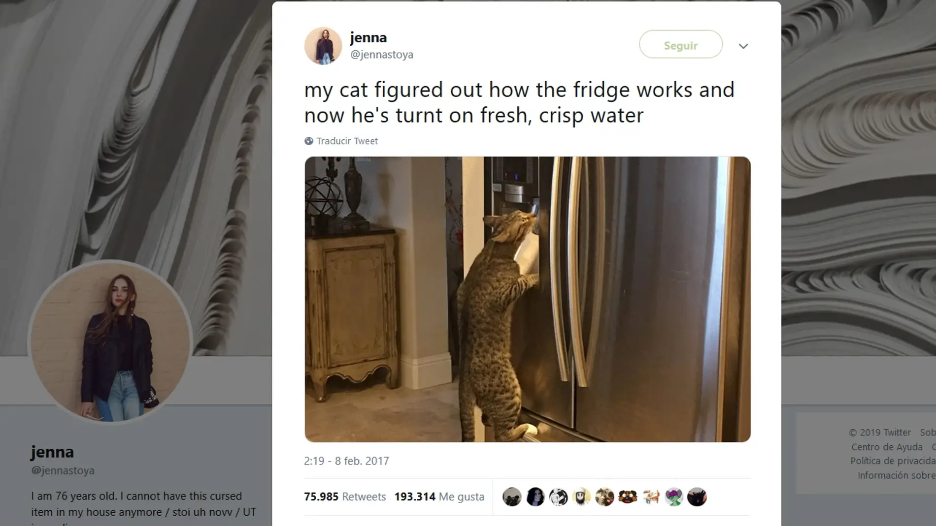 Gato pillado