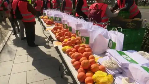 Imagen de archivo: naranjas. Productores de Naranjas, avellanas y aceitunas se manifiestan en Madrid