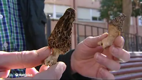 Cierra el restaurante de Valencia investigado por la muerte de una clienta hasta que se aclaren las causas Cierra el restaurante de Valencia investigado por la muerte de una clienta hasta que se aclaren las causas