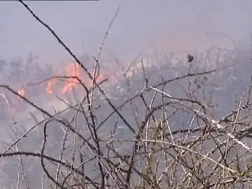 La Guardia Civil investiga las causas y posibles autores que ocasionaron los incendios en Cantabria La Guardia Civil investiga las causas y posibles autores que ocasionaron los incendios en Cantabria