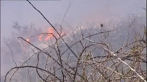 La Guardia Civil investiga las causas y posibles autores que ocasionaron los incendios en Cantabria La Guardia Civil investiga las causas y posibles autores que ocasionaron los incendios en Cantabria