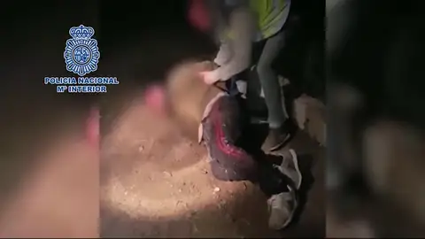 Detenido un preso que mató a su mujer y que se fugó durante un permiso Detenido un preso que mató a su mujer y que se fugó durante un permiso