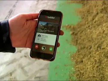 Tinder llega al mundo animal: crean una aplicación de ligoteo para vacas Tinder llega al mundo animal: crean una aplicación de ligoteo para vacas