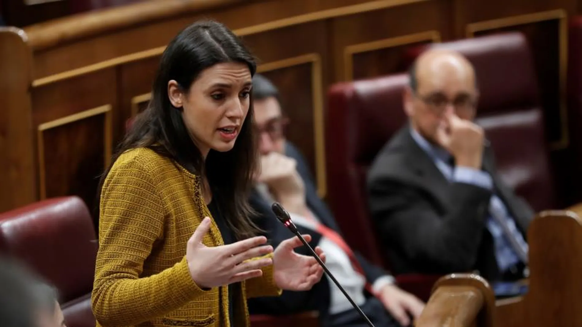 La portavoz de Podemos, Irene Montero La portavoz de Podemos, Irene Montero