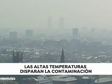Las altas temperaturas y la contaminación disparan las alergias Las altas temperaturas y la contaminación disparan las alergias