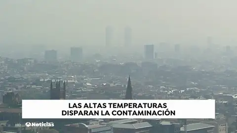 Las altas temperaturas y la contaminación disparan las alergias Las altas temperaturas y la contaminación disparan las alergias