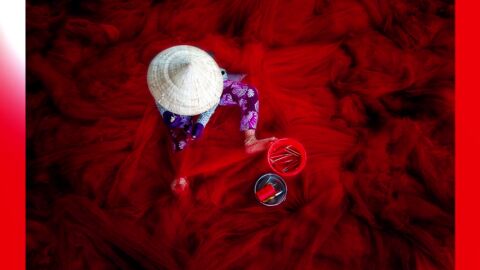 As&iacute; son las mejores fotograf&iacute;as del mundo para el Sony World Photography Awards 2019