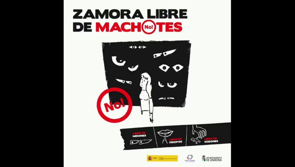 La campaña ‘Zamora, libre de machotes’ prohíbe los piropos en Carnaval