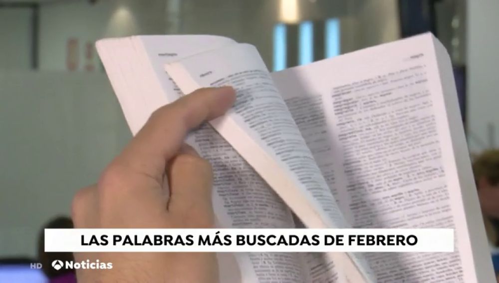 Las palabras más buscadas en febrero según la RAE