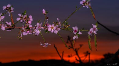 Disfruta de las mejores fotos de los espectadores del mes de marzo