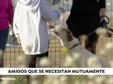 NI&Atilde;OS Y PERROS