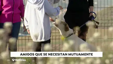 NIÃOS Y PERROS NIÃOS Y PERROS