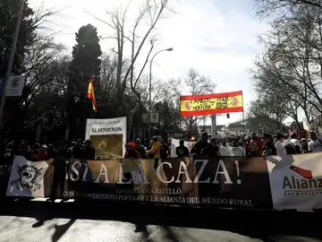Vista de la manifestación en Madrid Vista de la manifestación en Madrid
