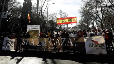 Vista de la manifestación en Madrid Vista de la manifestación en Madrid