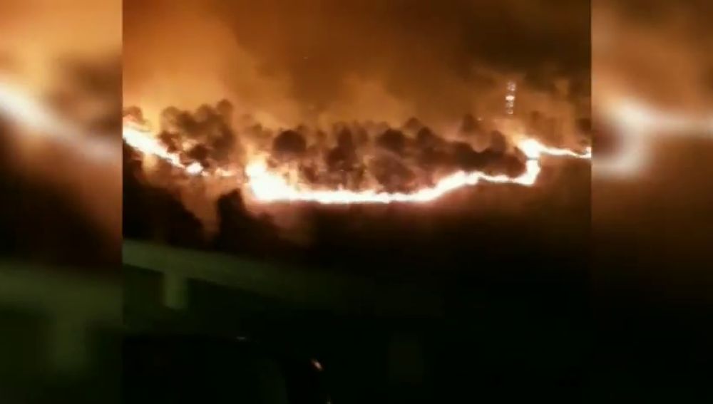VÍDEO: Graban a pocos metros de distancia el incendio declarado en Muskiz
