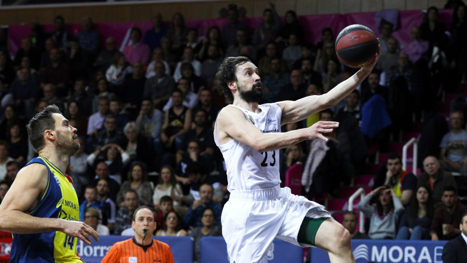 Sergio Llull entra a canasta Sergio Llull entra a canasta