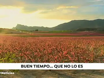 NUEVAagriicultura NUEVAagriicultura