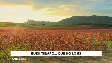 Alarma por el gran número de cosechas que se perderán si continúa el calor
