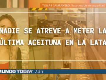 Fábrica de aceitunas Fábrica de aceitunas