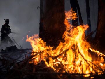 Incendio forestal cerca de la localidad cántabra de San Román.