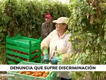 JORNALERA 8M TODO JORNALERA 8M TODO