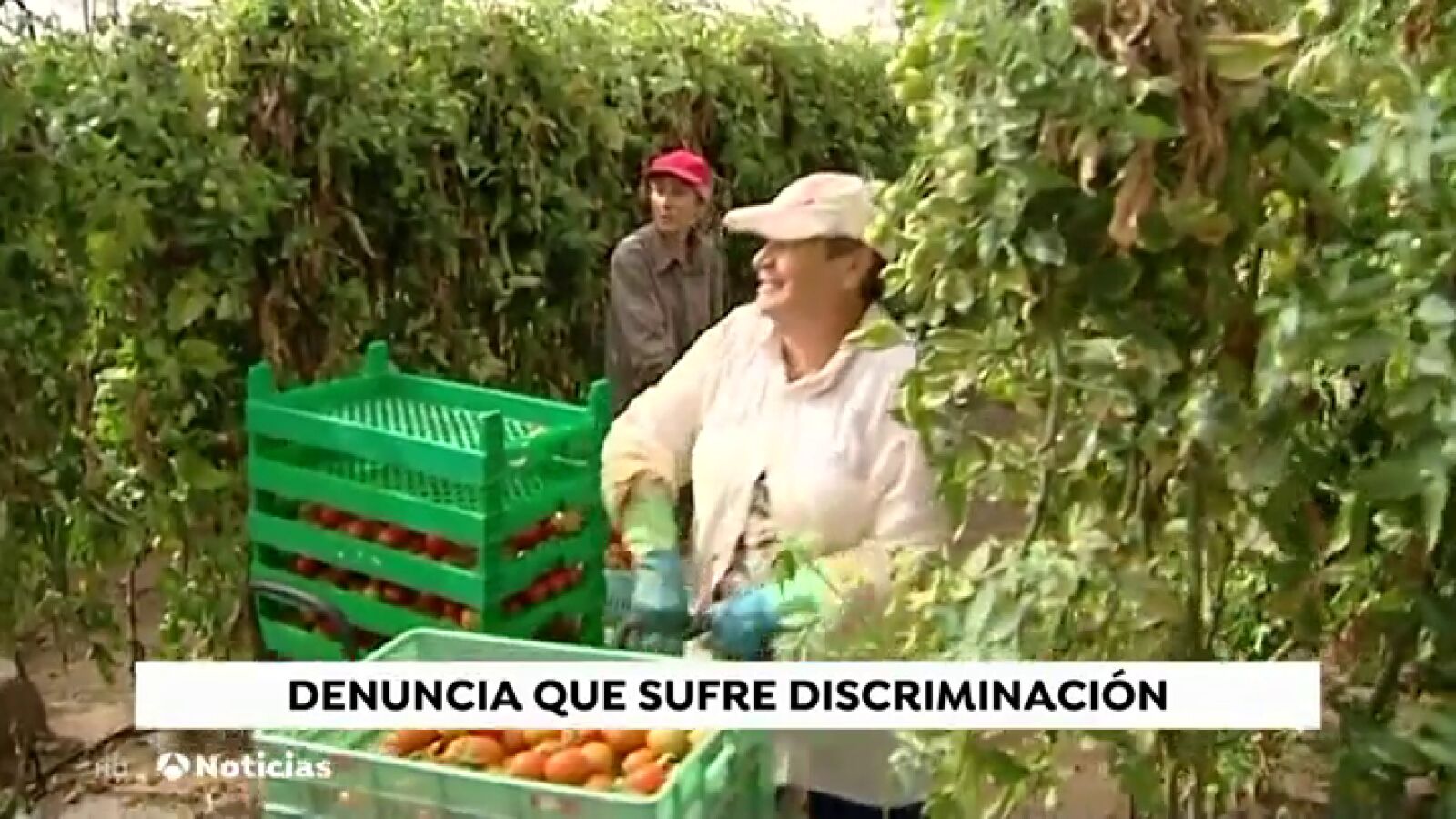 Las jornaleras denuncian machismo en el sector; algunas reconocen que solo les ofrecen trabajo si van acompañadas de un hombre